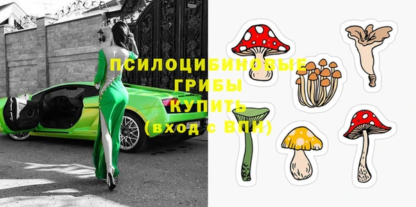 прущие крисы Белоозёрский