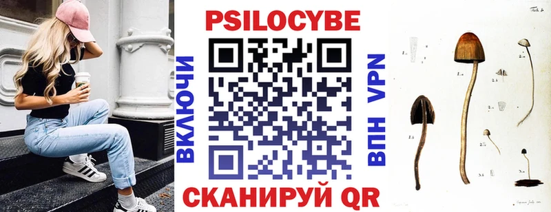 сайты даркнета состав  купить  цена  Сегежа  Галлюциногенные грибы Cubensis  ссылка на мегу как войти 